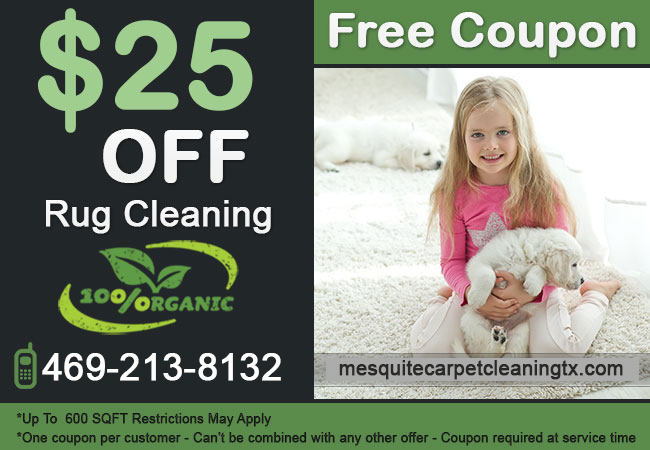 Rug Cleaning Special Offer